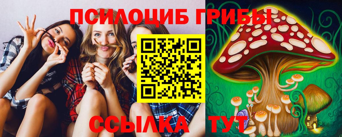Галлюциногенные грибы мицелий  Галлюциногенные грибы GOLDEN TEACHER  Вход с VPN  Прохладный 