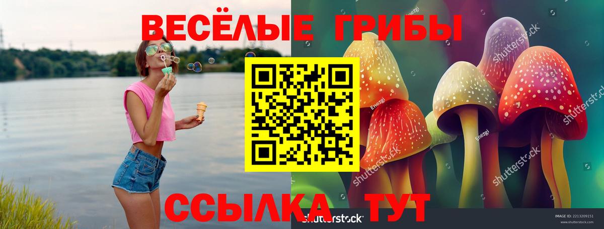 Псилоцибиновые грибы GOLDEN TEACHER Прохладный